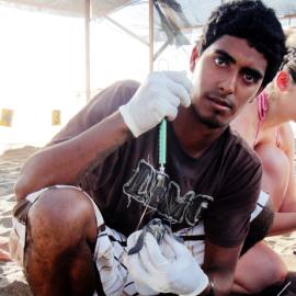 Bringing Light to the Darkness